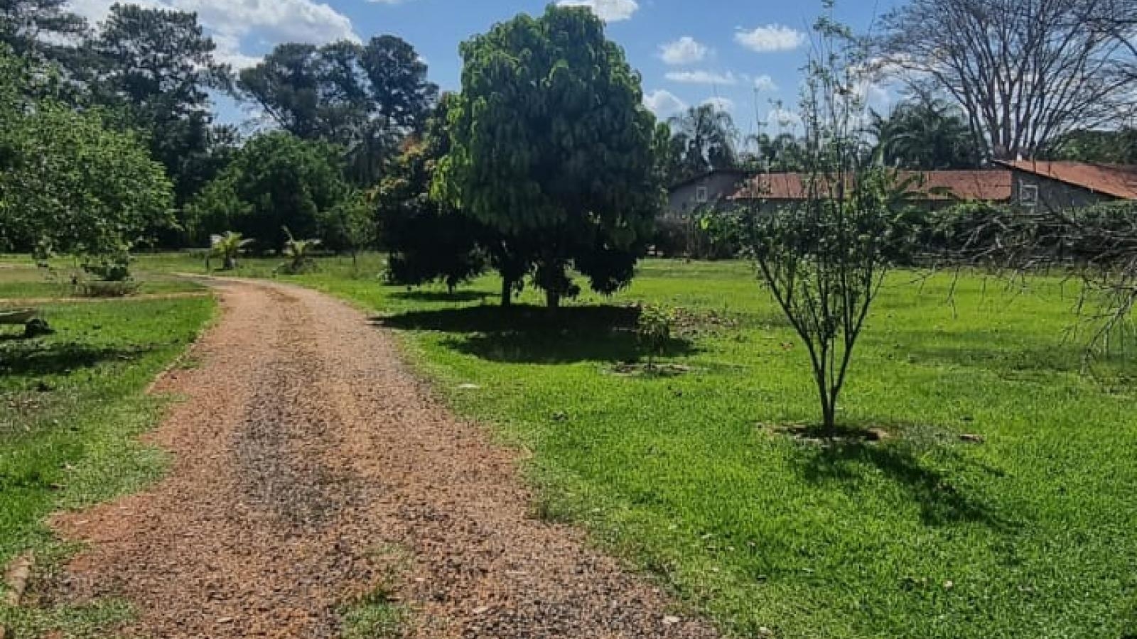 206 - Chácara/Sítio p/ Venda 206 - Chácara/Sítio p/ Venda