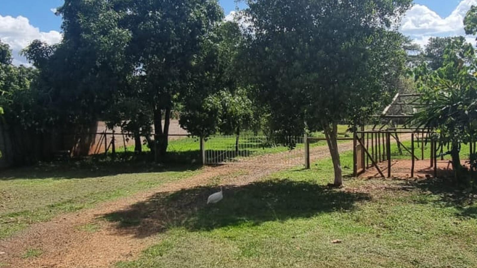 206 - Chácara/Sítio p/ Venda 206 - Chácara/Sítio p/ Venda