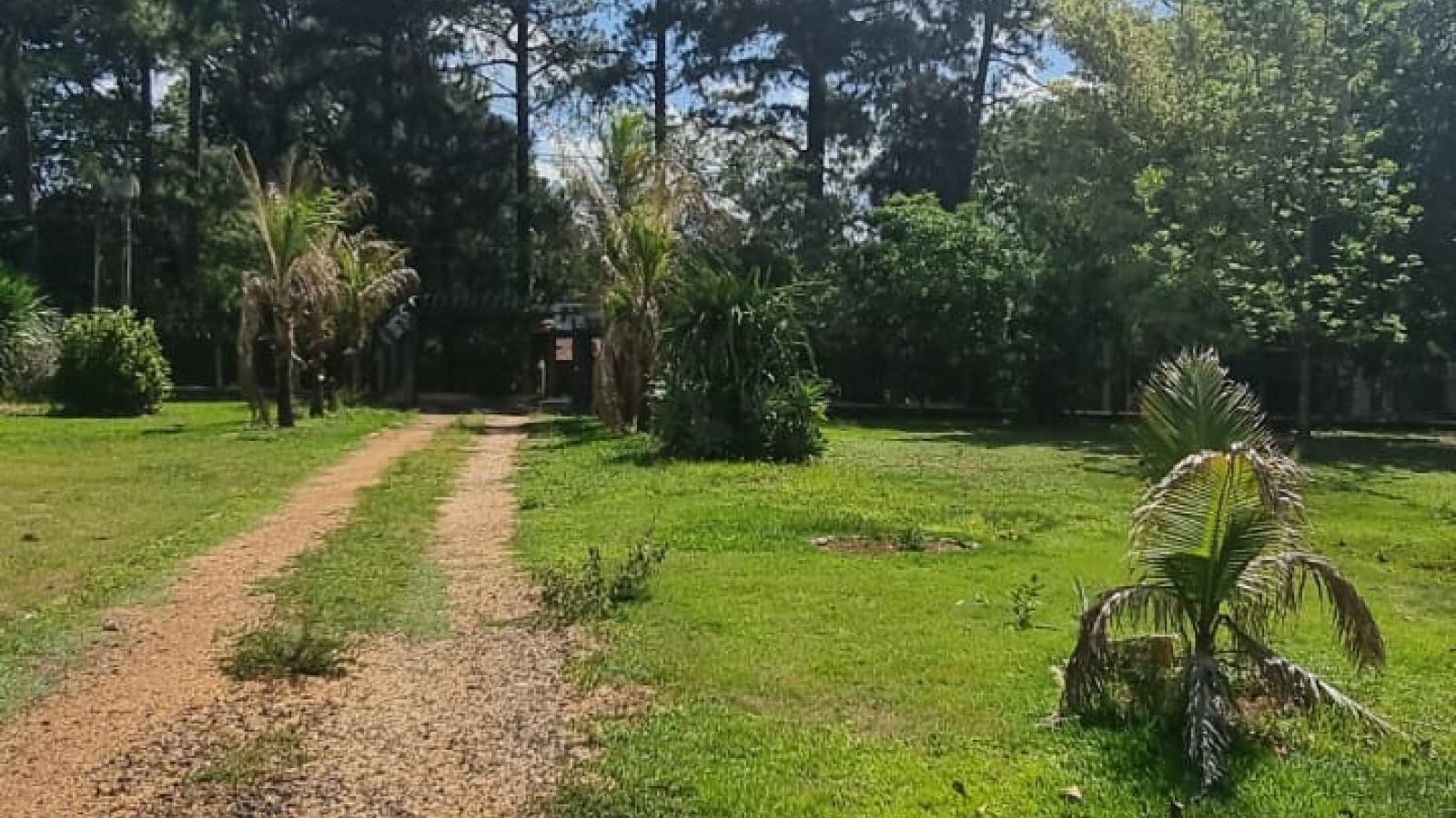 206 - Chácara/Sítio p/ Venda 206 - Chácara/Sítio p/ Venda